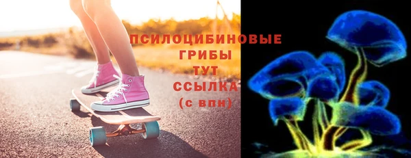 прущие грибы Кинешма