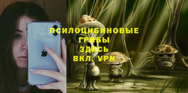 прущие грибы Кинешма