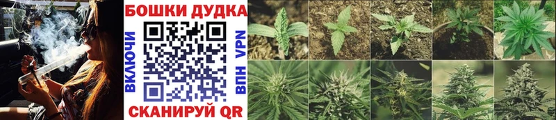 Канабис Amnesia  Новошахтинск 